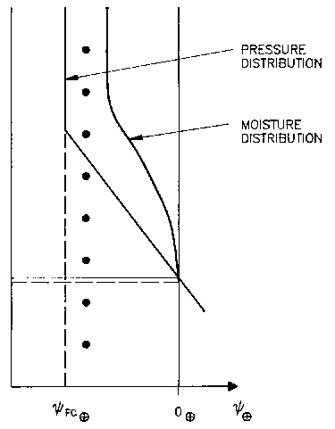 initial_soil_moisture.jpg