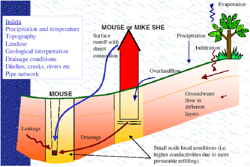 MIKESHE-MOUSE_overview.png